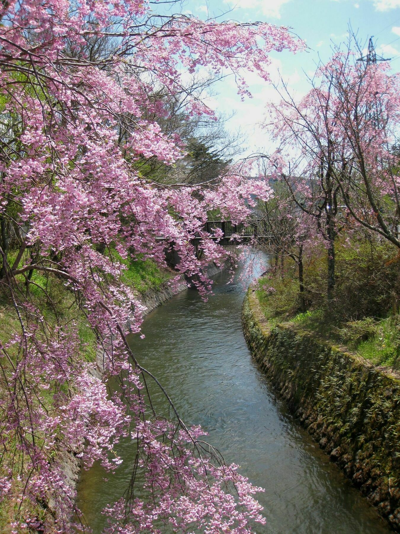 Zero-Project Japan Guesthouse 山中湖村 外观 照片